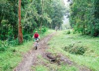 Sepeda Bali Adventure Cycling and Tours