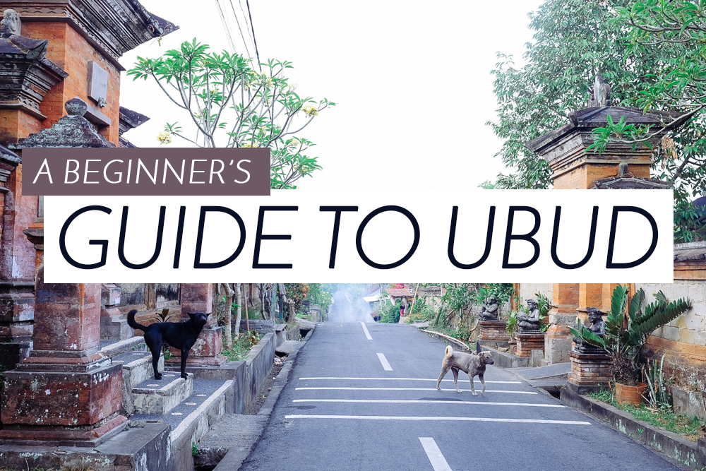 A Beginner's Guide to Ubud » UbudHood